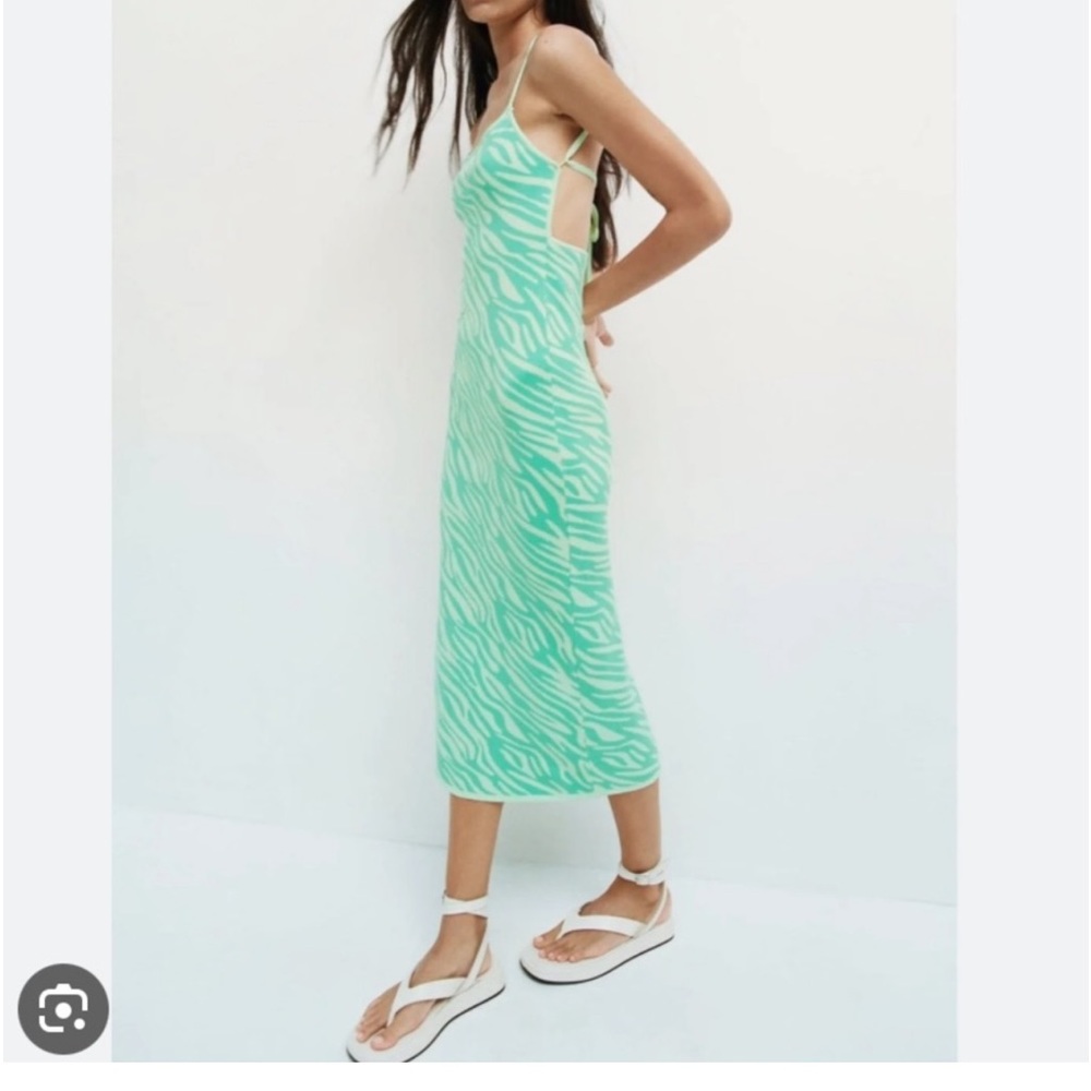 Zara Blue Zebra Midi Dress
